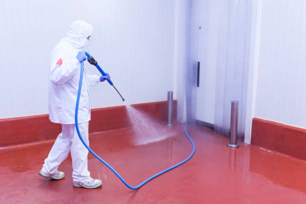 Best Dumpster Area Cleaning  in Belleair, FL