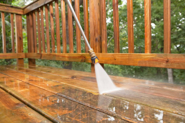 Best Dumpster Area Cleaning  in Belleair, FL